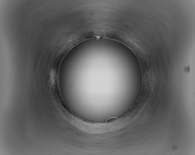 X0000096980038200802151340