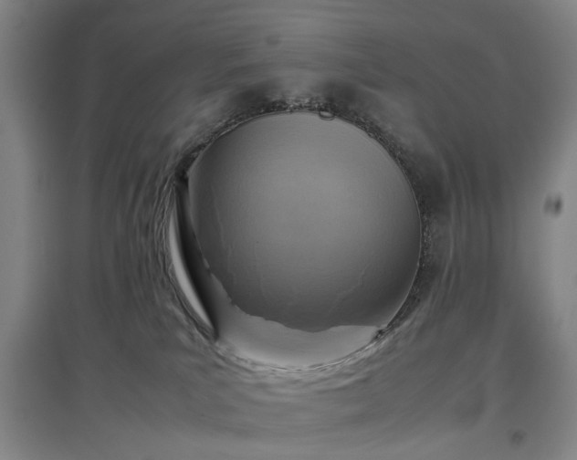 X0000096980039200802151340