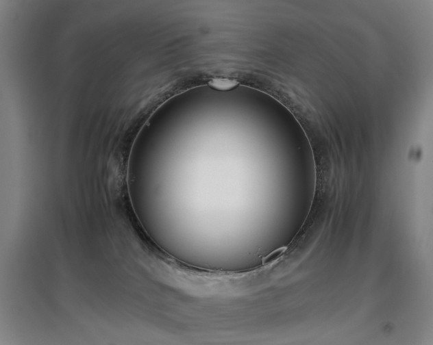 X0000096980040200802151340