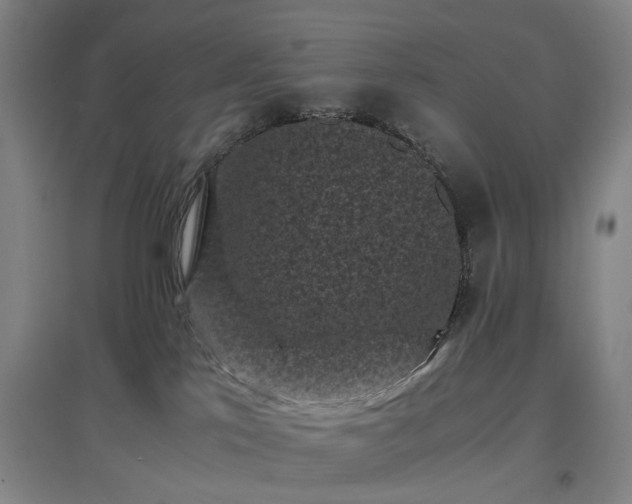 X0000096980041200802151340