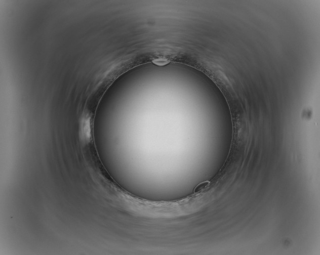 X0000096980042200802151340