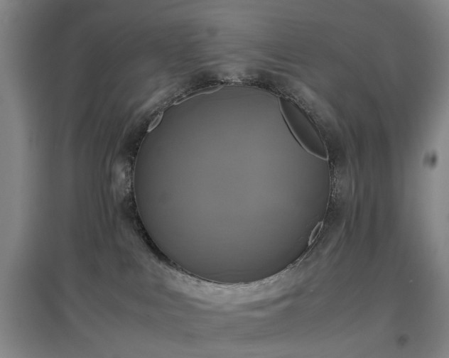 X0000096980043200802151340