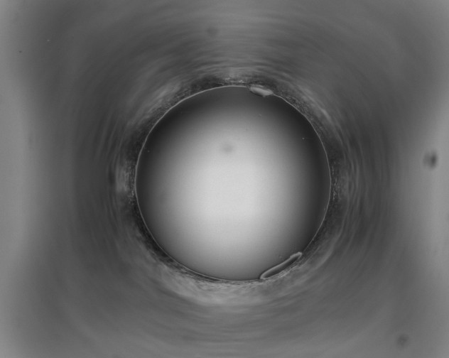 X0000096980044200802151340