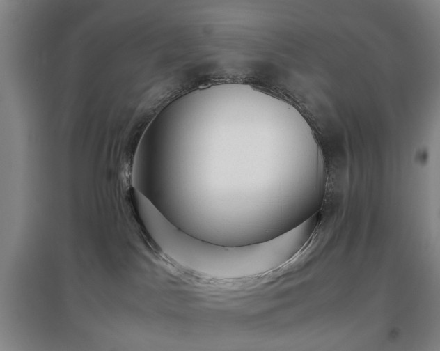 X0000096980045200802151340