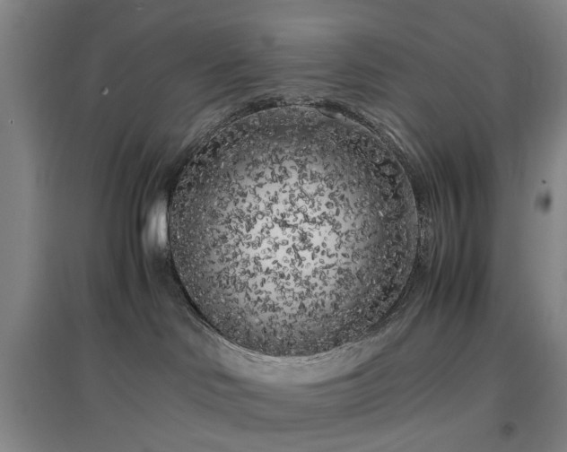 X0000096980046200802151340