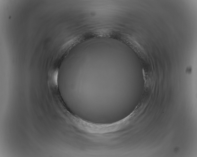 X0000096980047200802151340