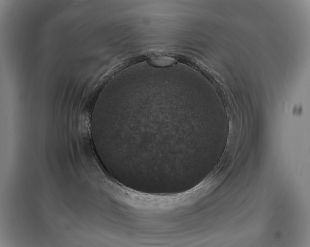 X0000096980048200802151340