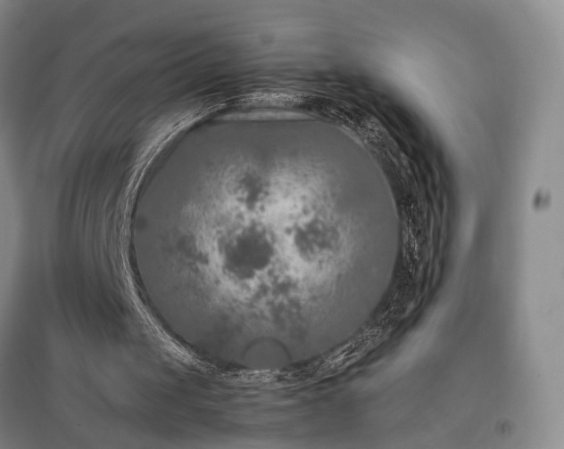 X0000096980049200802151339