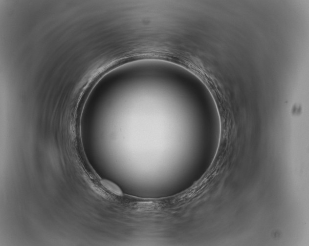 X0000096980050200802151339