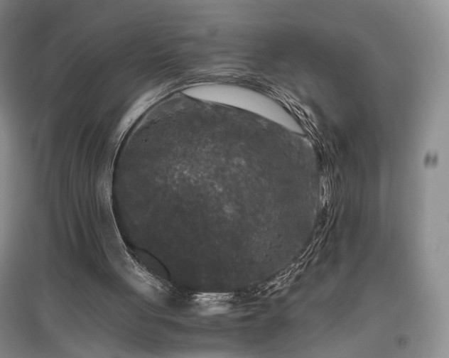 X0000096980051200802151339