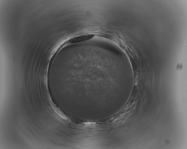 X0000096980052200802151339