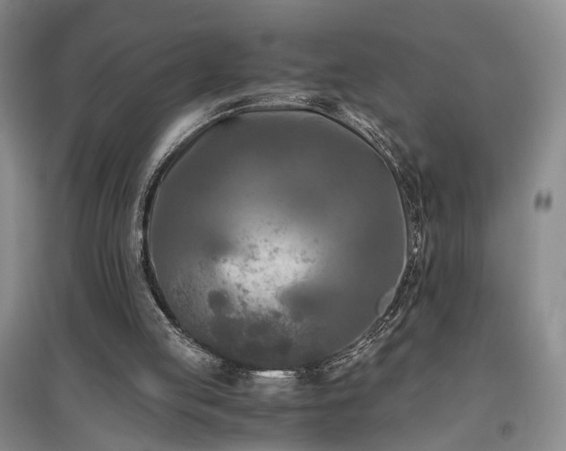 X0000096980053200802151339