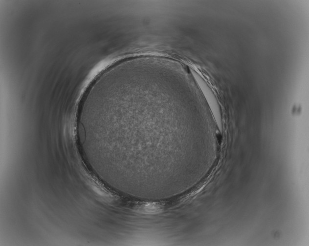 X0000096980056200802151339