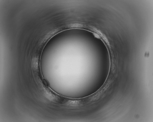 X0000096980057200802151339