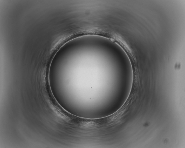 X0000096980058200802151339