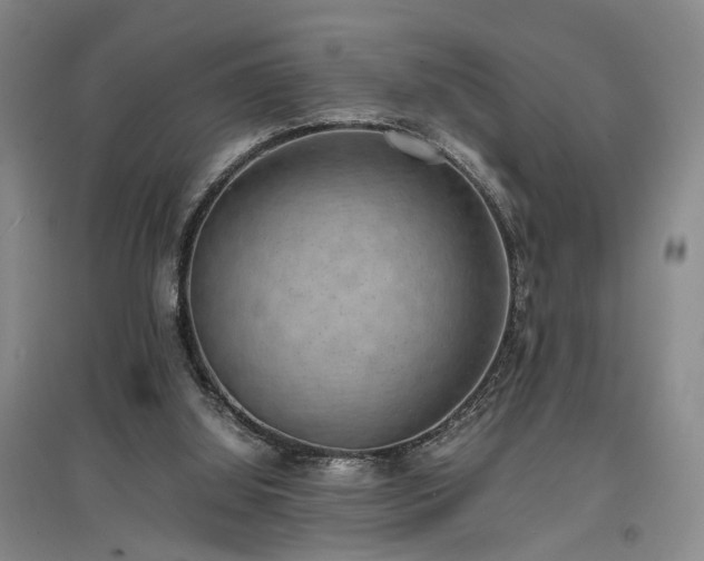 X0000096980060200802151339