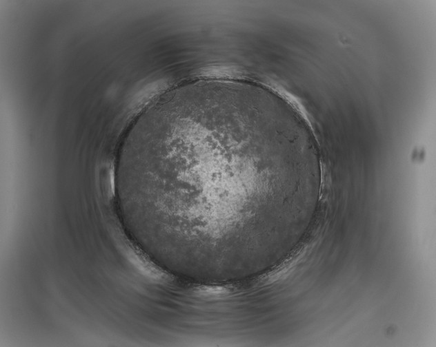 X0000096980061200802151339