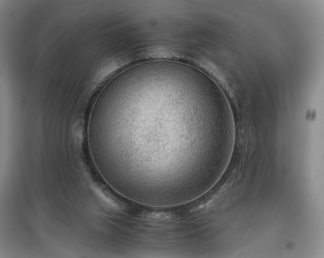 X0000096980063200802151339