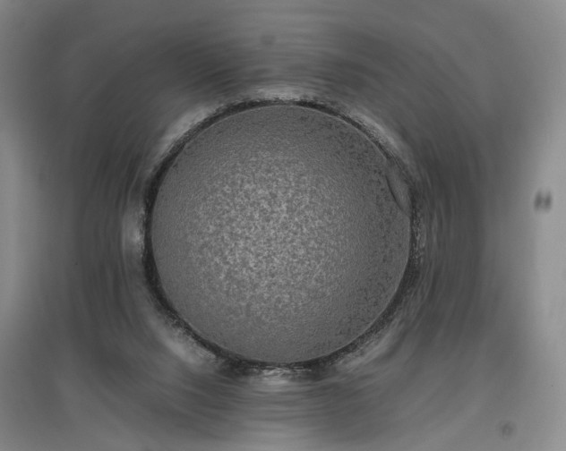 X0000096980064200802151339