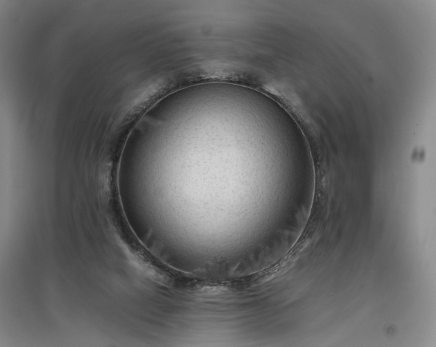 X0000096980066200802151339