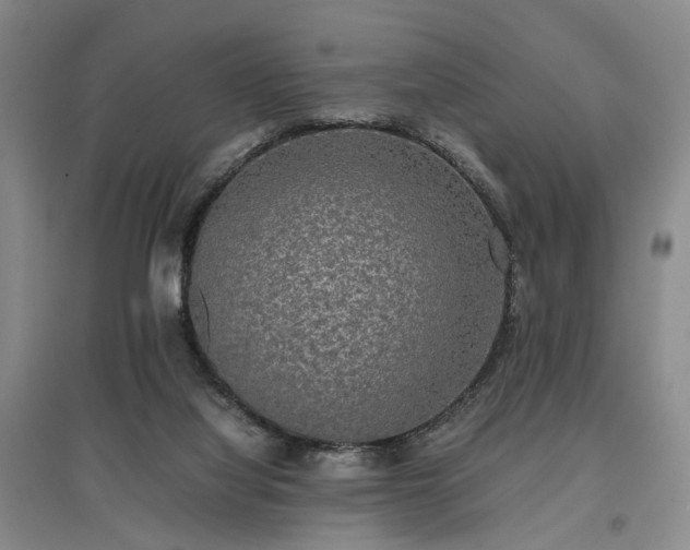 X0000096980068200802151339