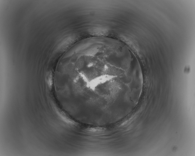 X0000096980069200802151339