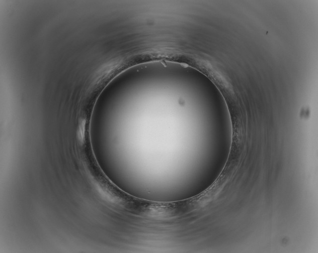 X0000096980070200802151339