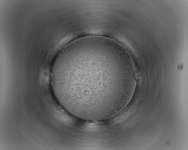 X0000096980072200802151339