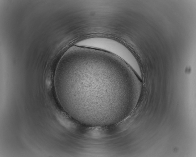 X0000096980074200802151339