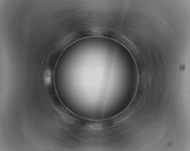 X0000096980075200802151339