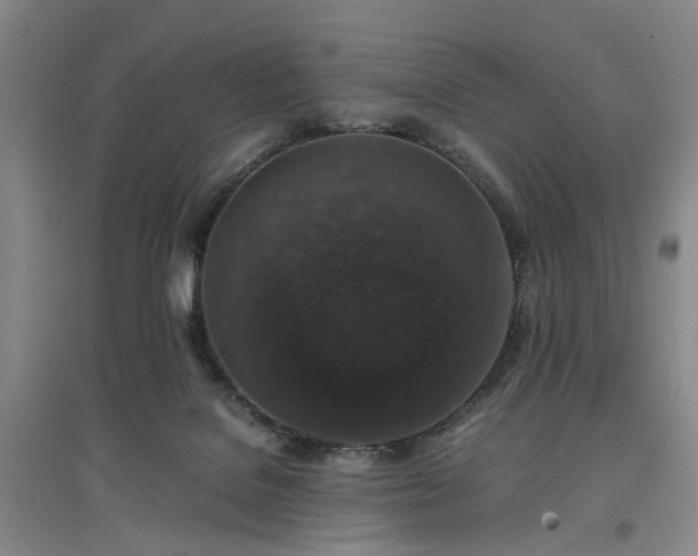 X0000096980076200802151339