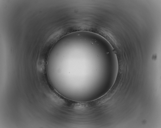 X0000096980077200802151339