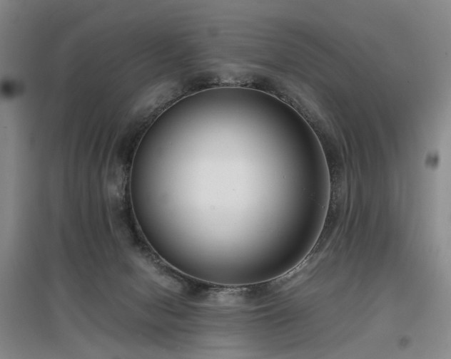 X0000096980078200802151339