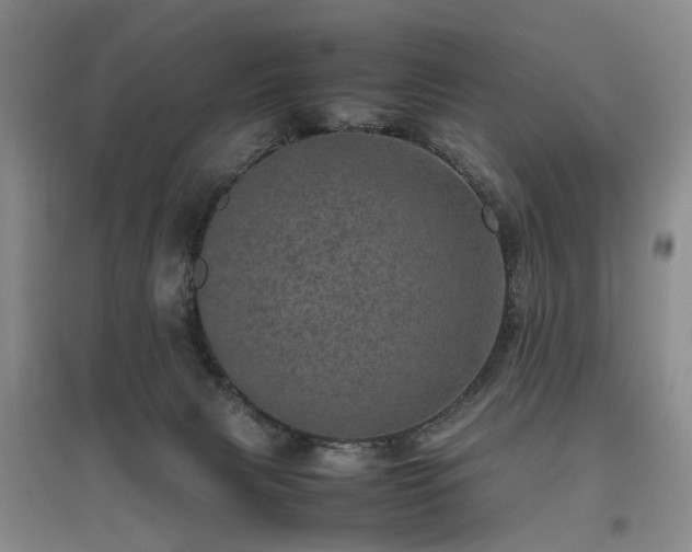 X0000096980079200802151339