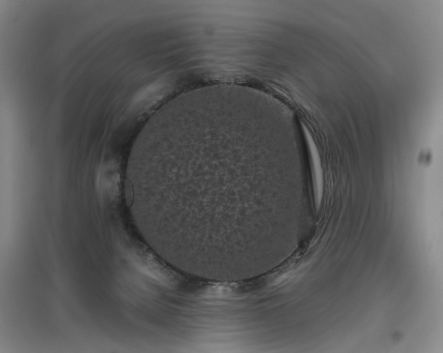 X0000096980080200802151340