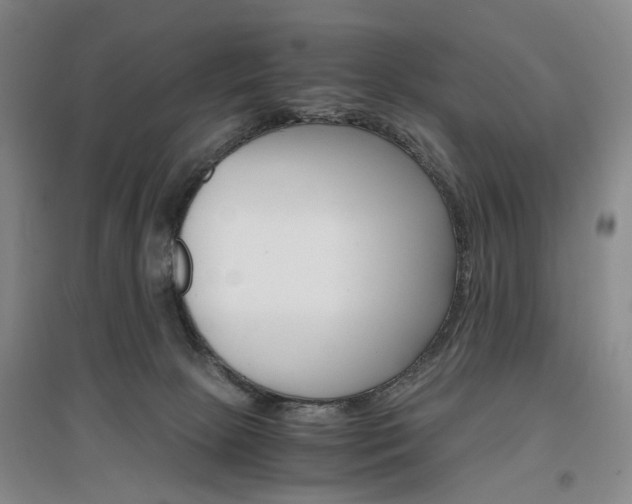 X0000096980081200802151340