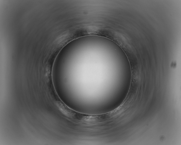 X0000096980082200802151340