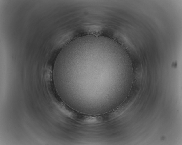 X0000096980083200802151340