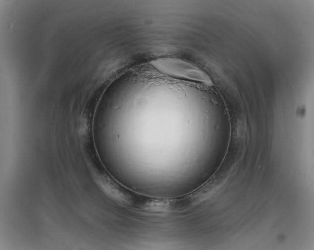 X0000096980084200802151340