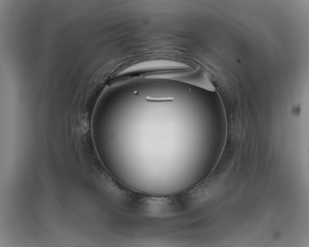 X0000096980085200802151340