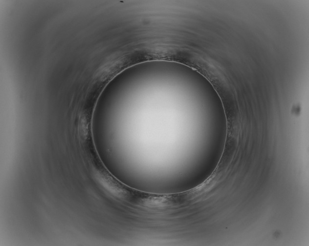 X0000096980086200802151340