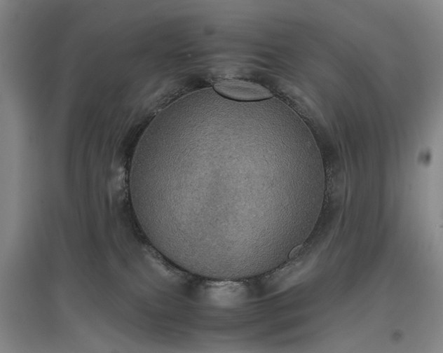 X0000096980087200802151340