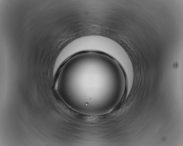 X0000096980088200802151340