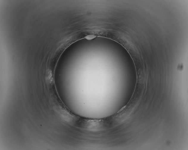 X0000096980089200802151340