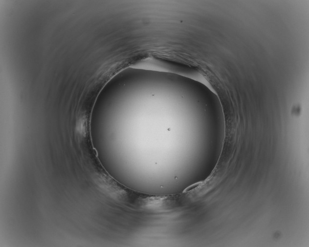 X0000096980090200802151340