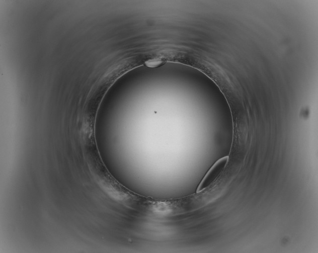 X0000096980091200802151340