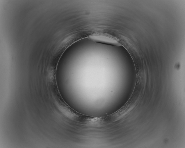 X0000096980092200802151340