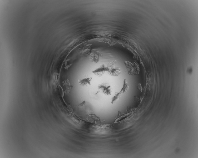 X0000096980093200802151340