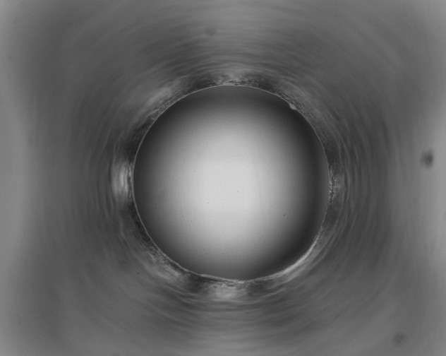 X0000096980094200802151340