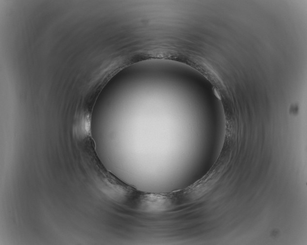 X0000096980095200802151340